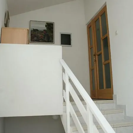 Zuljana 3164b
